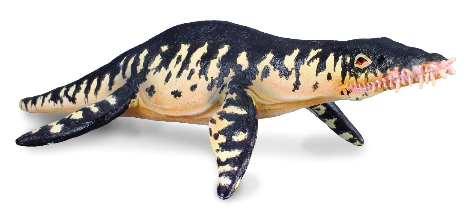 CollectA - 88237 - LIOPLEURODON (L)