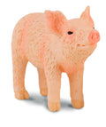 CollectA - 88344 - FERKEL RIECHEND (S)