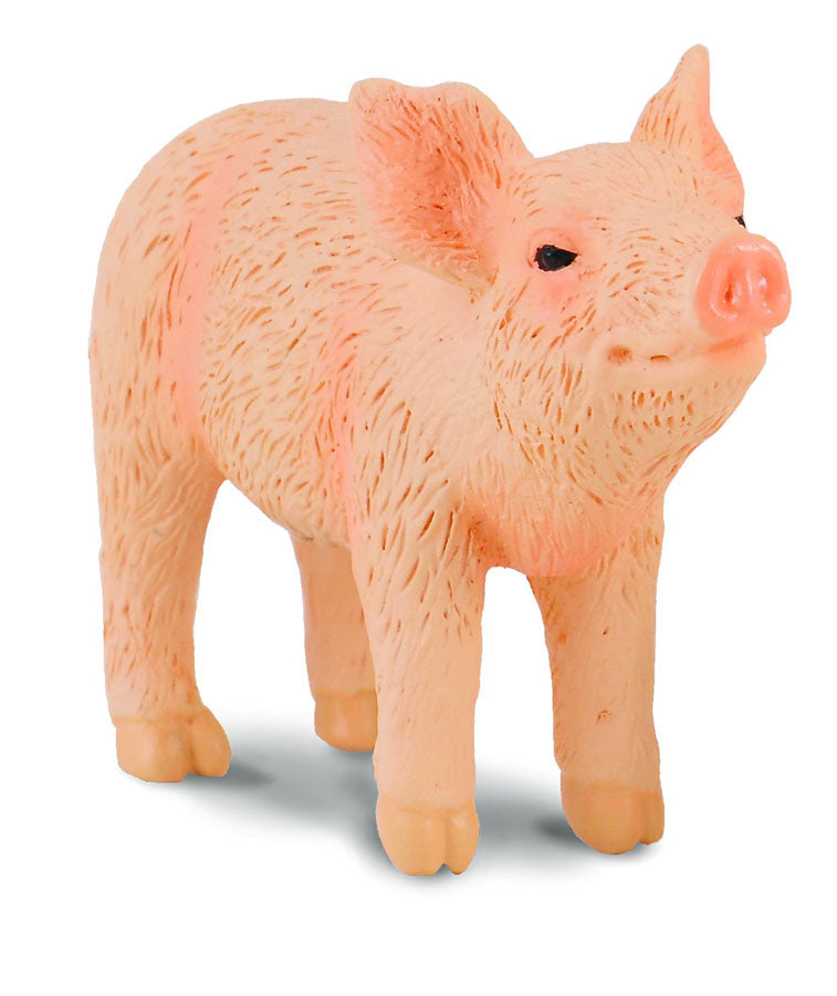CollectA - 88344 - FERKEL RIECHEND (S)