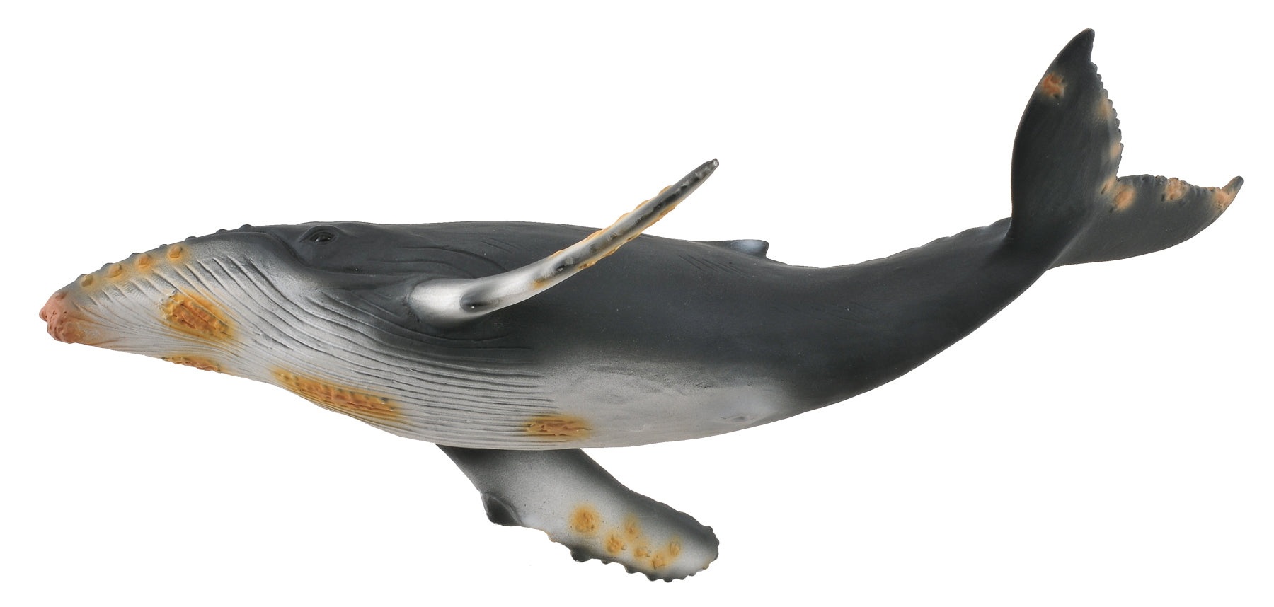 CollectA - 88347 - BUCKELWAL (XL)