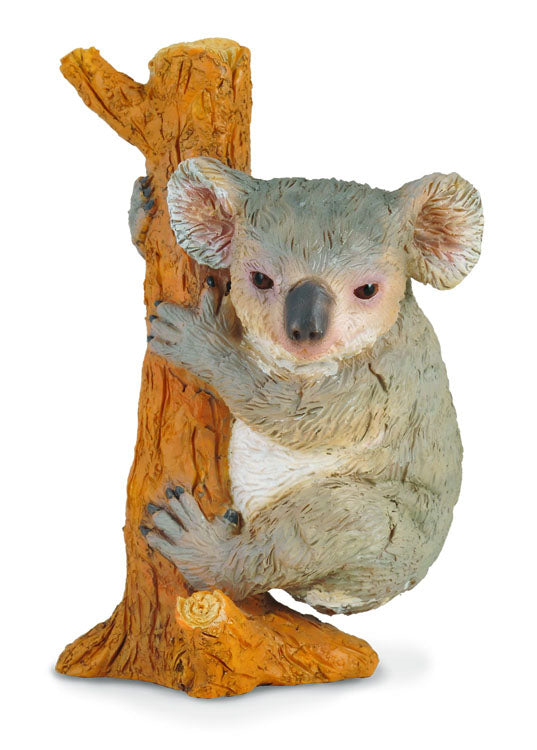 CollectA - 88356 - KOALA - KLETTERND (M)