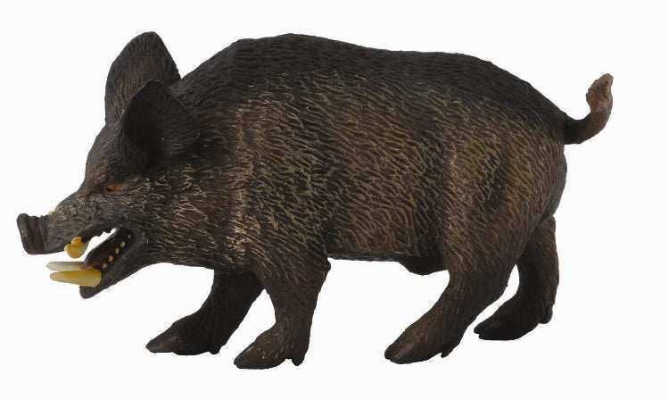 CollectA - 88363 - WILDSCHWEIN - EBER (M)