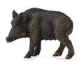 CollectA - 88364 - WILDSCHWEIN - BACHE (M)