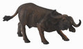 CollectA - 88398 - AFRIKANISCHER BUEFFEL (L)