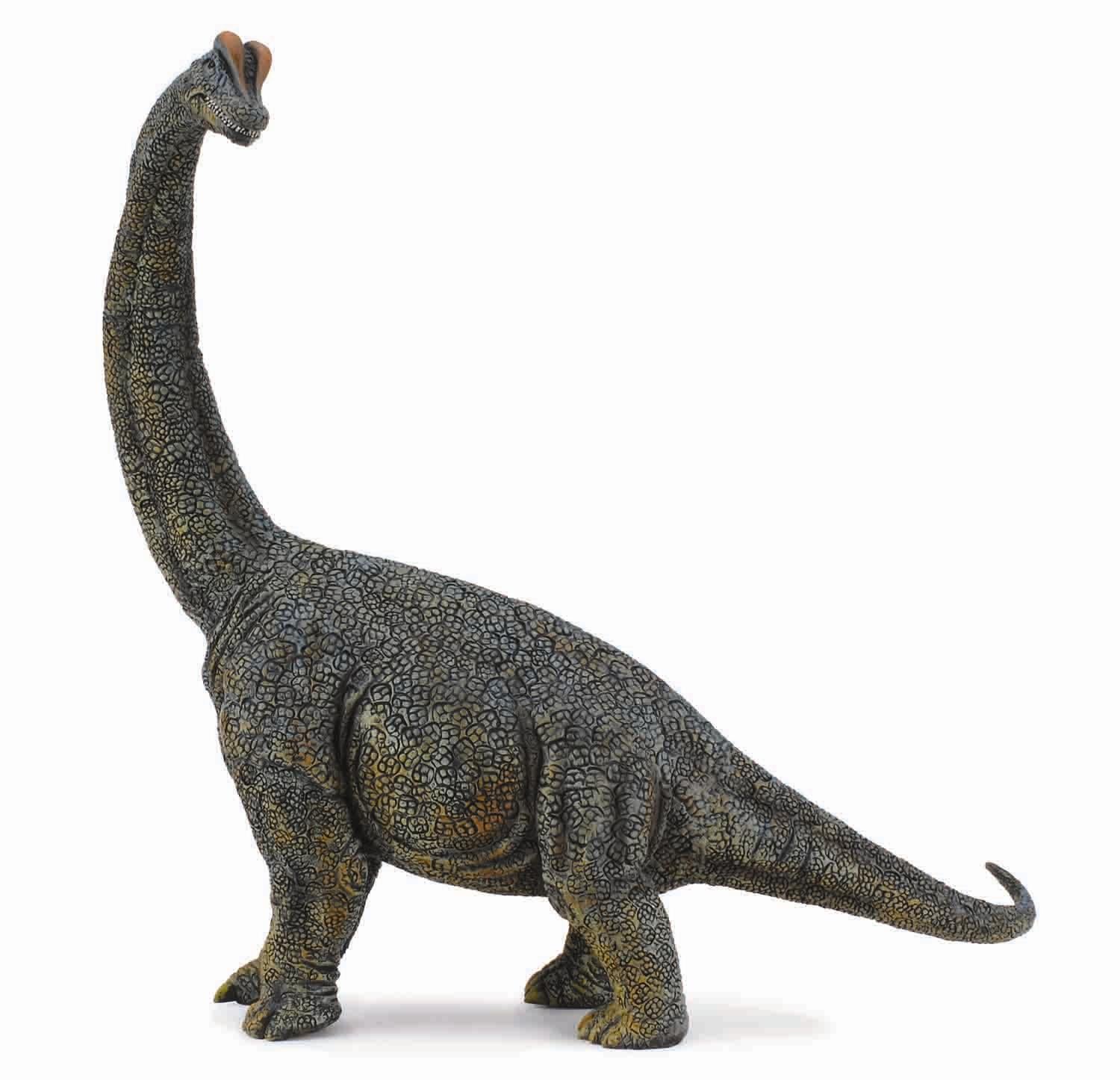 CollectA - 88405 - BRACHIOSAURUS 1:40 (DELUXE)