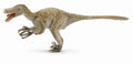 CollectA - 88407 - VELOCIRAPTOR 1:6 (DELUXE)