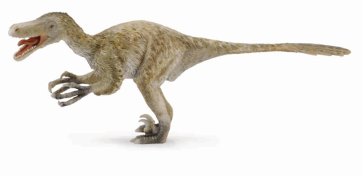 CollectA - 88407 - VELOCIRAPTOR 1:6 (DELUXE)