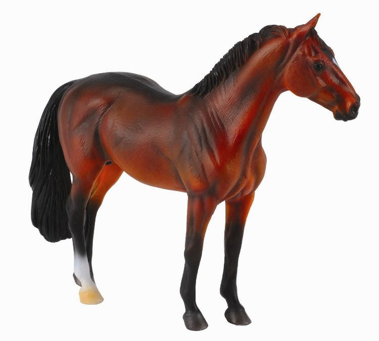CollectA - 88431 - HANNOVERANER HENGST BRAUN (XL)
