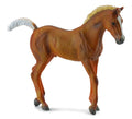 CollectA - 88451 - BRAUNES TENNESSEE WALKER FOHLEN (M)