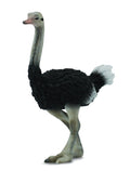 CollectA - 88459 - STRAUSS (L)