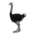 CollectA - 88459 - STRAUSS (L)