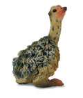 CollectA - 88460 - STRAUSSENJUNGES - SITZEND (S)