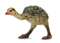 CollectA - 88461 - * STRAUSSENJUNGES - GEHEND (S)