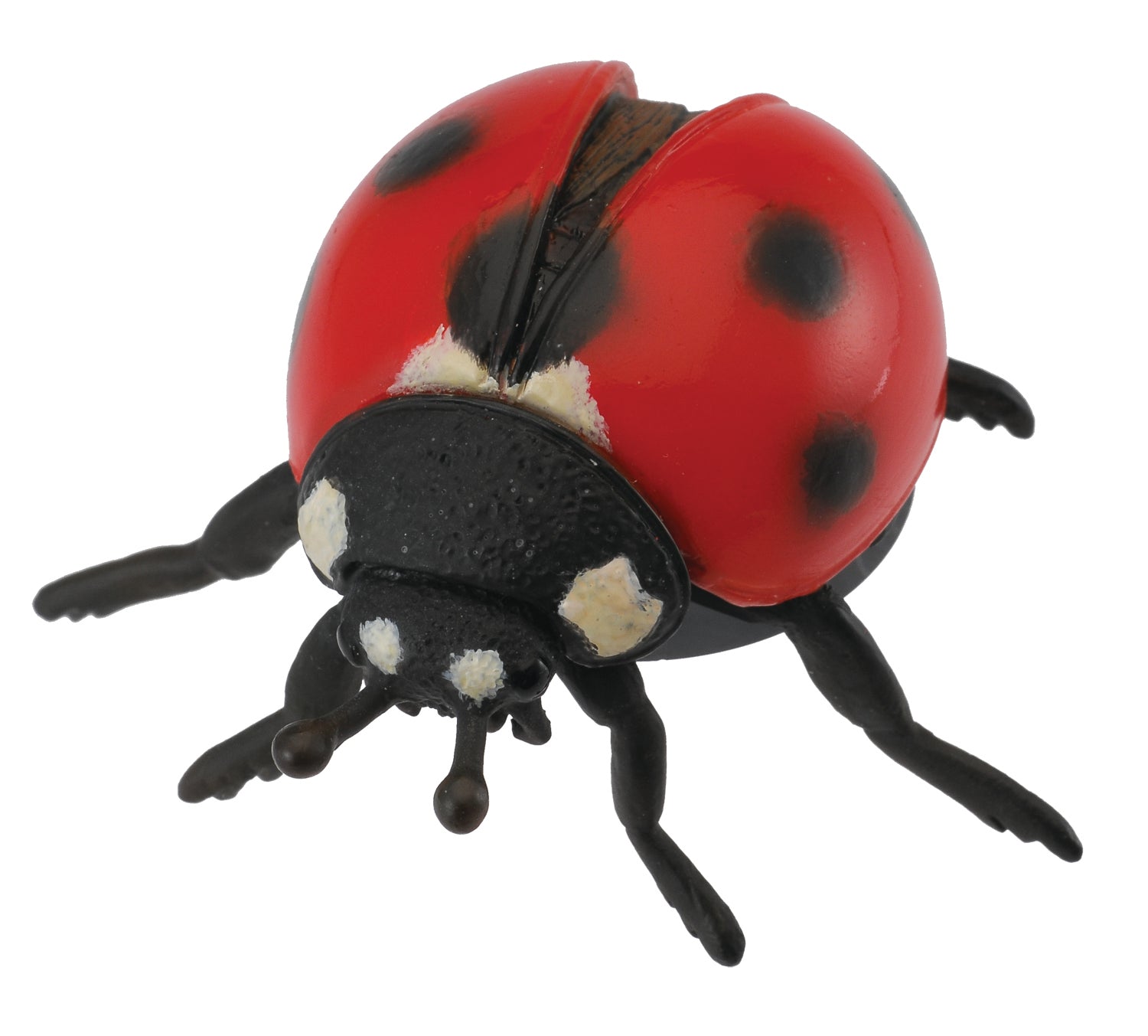 CollectA - 88474 - MARIENKÄFER (M)