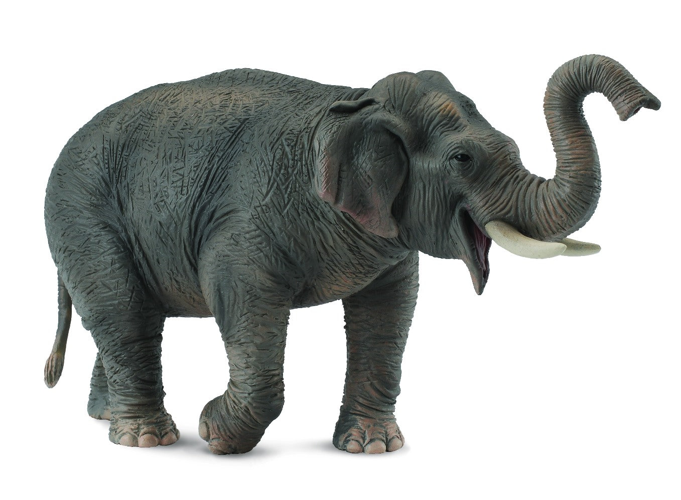 CollectA - 88486 - ASIATISCHER ELEFANT (XL)