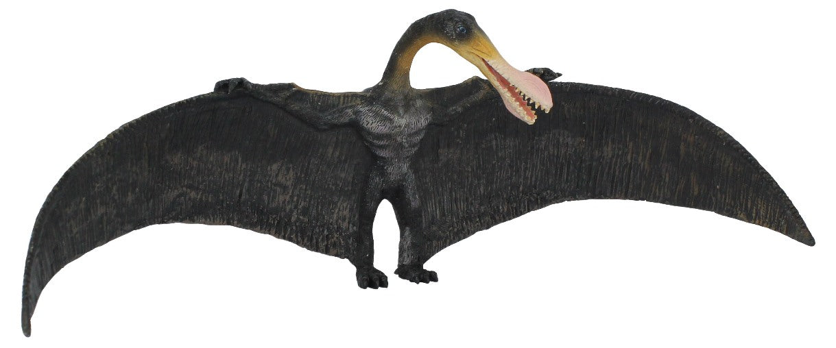 CollectA - 88511 - ORNITHOCHEIRUS (L)