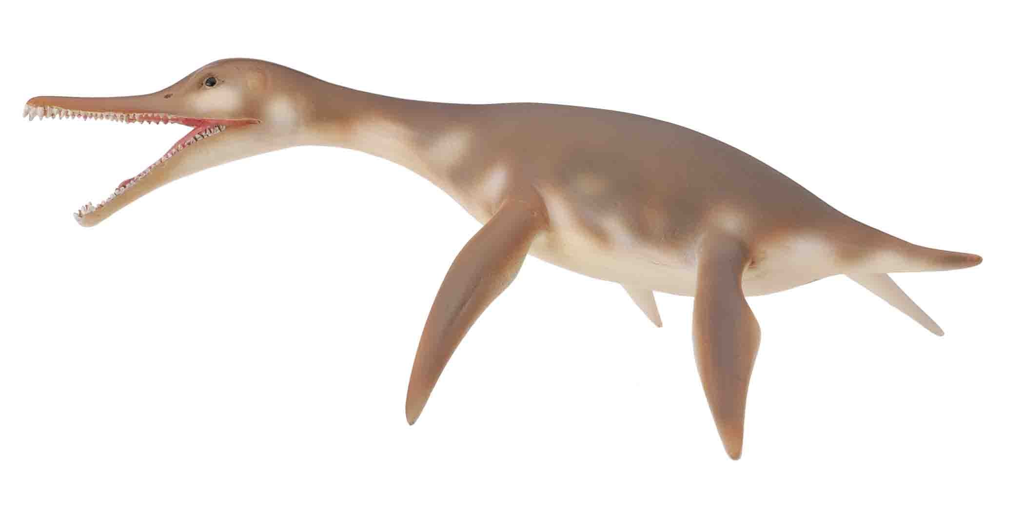 CollectA - 88520 - DOLICHORHYNCHOPS (M)