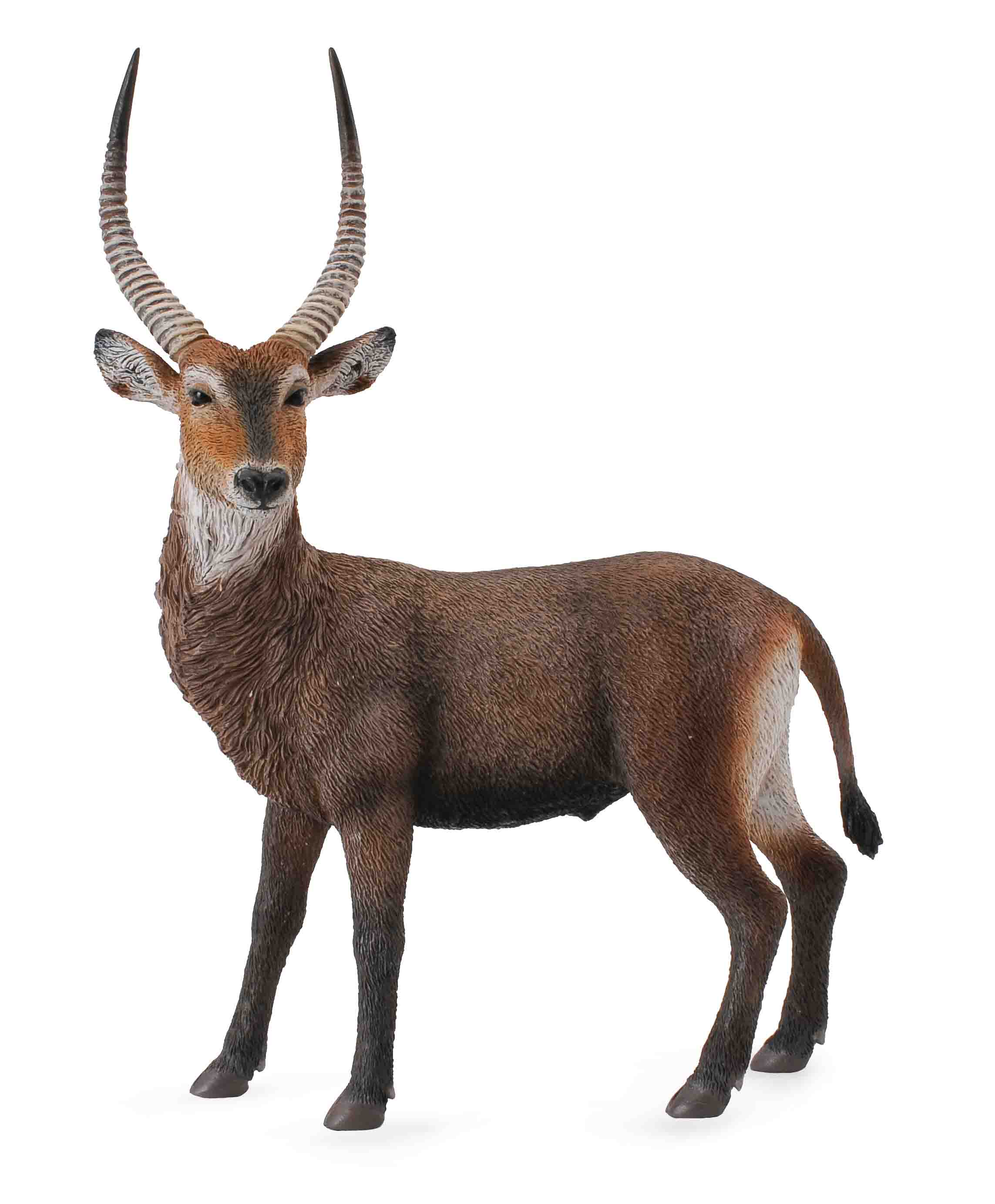 CollectA - 88562 - WASSERBOCK (L)