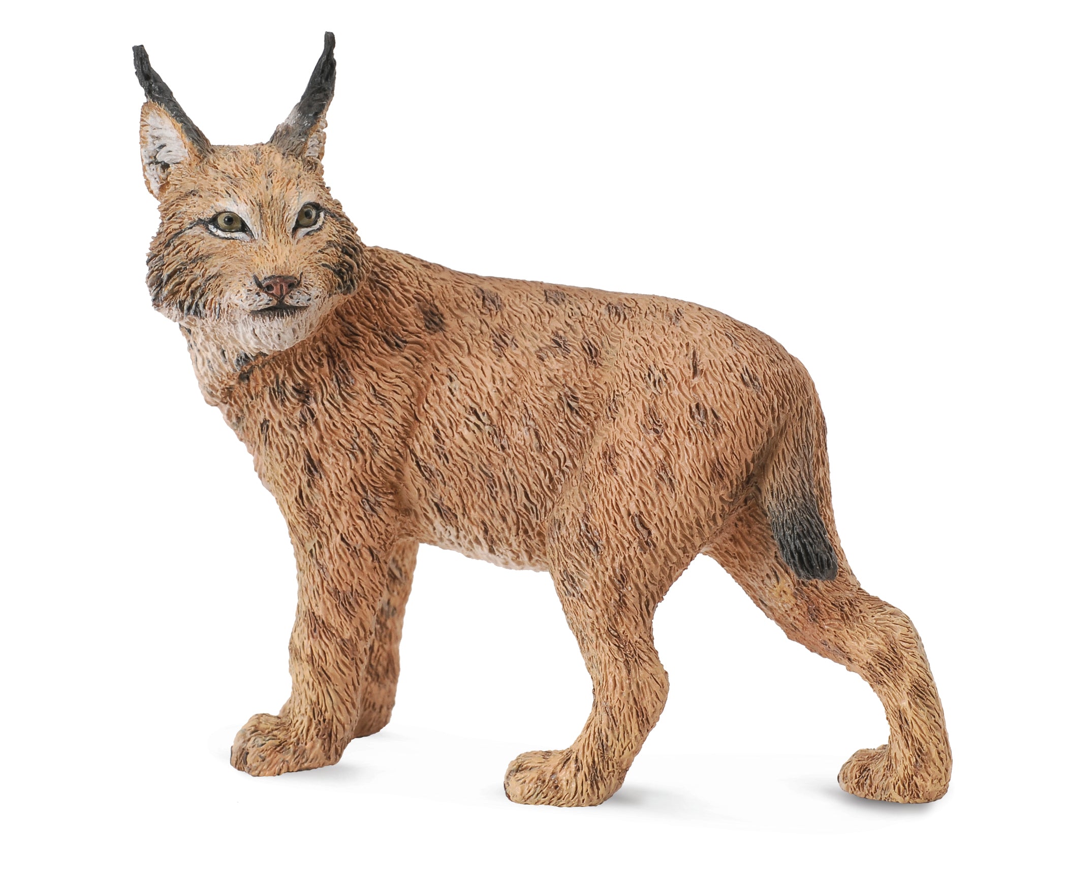 CollectA - 88565 - LUCHS (L)