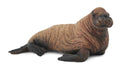CollectA - 88570 - WALROSSKALB (M)