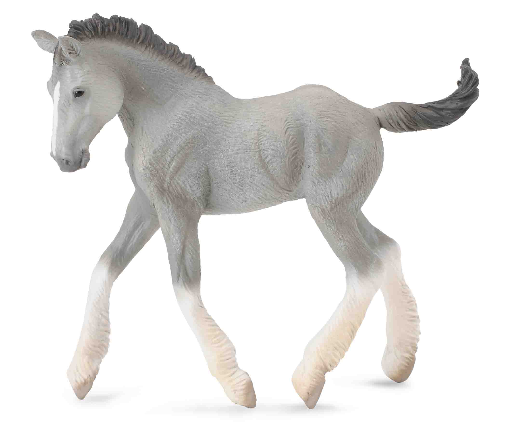 CollectA - 88575 - SHIRE HORSE FOHLEN GRAU (M)