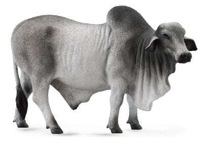 CollectA - 88579 - BRAHMAN STIER ZEBU (L)