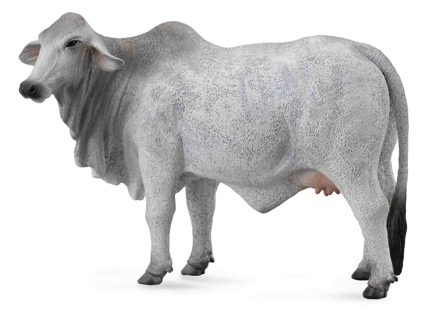CollectA - 88580 - BRAHMAN KUH ZEBU (L)