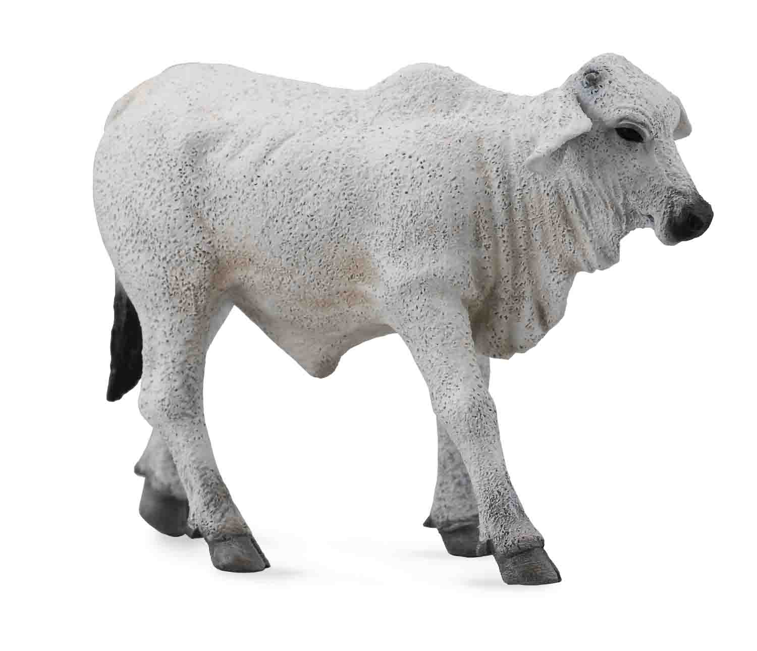 CollectA - 88581 - BRAHMAN KÄLBCHEN ZEBU (S)