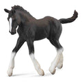 CollectA - 88583 - SHIRE HORSE FOHLEN SCHWARZ (M)
