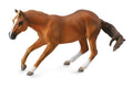 CollectA - 88585 - * QUARTER HORSE HENGST ROTBRAUN (XL)