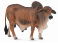 CollectA - 88599 - ROTER BRAHMAN STIER (L)
