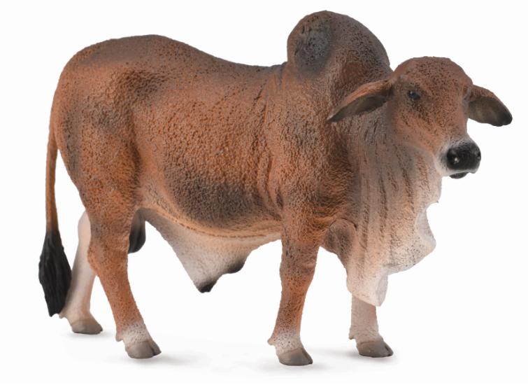 CollectA - 88599 - ROTER BRAHMAN STIER (L)