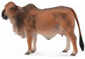 CollectA - 88600 - ROTE BRAHMAN KUH (L)