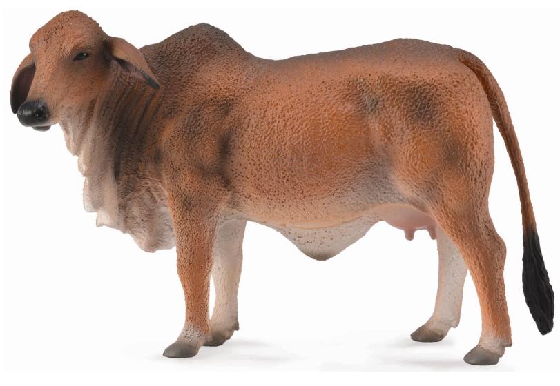 CollectA - 88600 - ROTE BRAHMAN KUH (L)