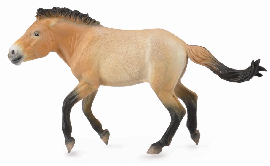 CollectA - 88602 - PRZEWALSKI HENGST (XL)