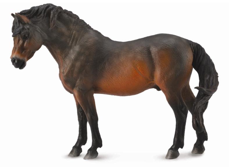 CollectA - 88604 - DARTMOOR PONY BRAUN (L)