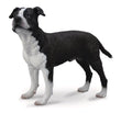 CollectA - 88610 - AMERIKANISCHER STAFFORDSHIRE TERRIER (L)