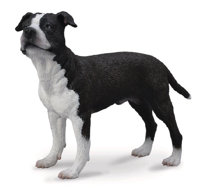 CollectA - 88610 - AMERIKANISCHER STAFFORDSHIRE TERRIER (L)