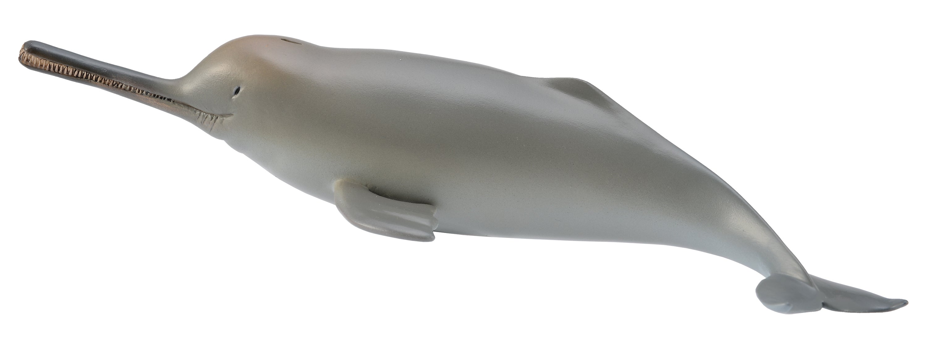 CollectA - 88611 - GANGES-DELFIN (M)
