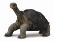 CollectA - 88619 - GALAPAGOS RIESENSCHILDKRÖTE (M)
