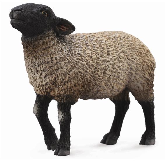 CollectA - 88636 - AUSTRALISCHES SUFFOLK SCHAF (M)