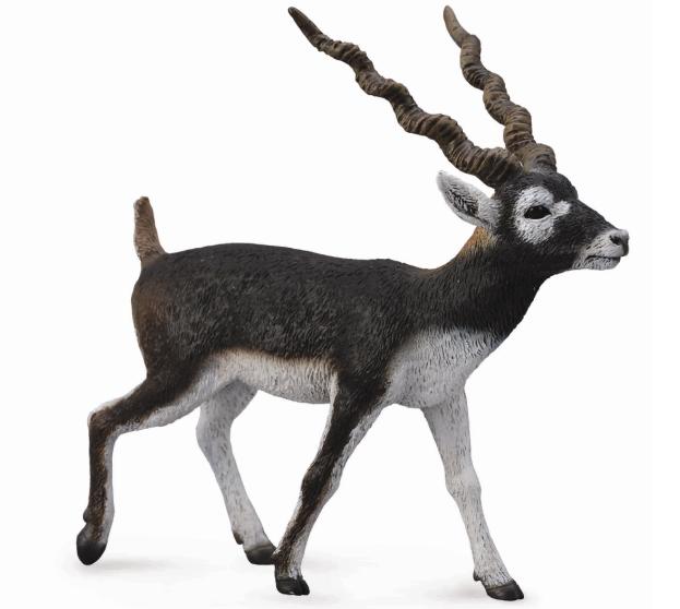 CollectA - 88638 - HIRSCHZIEGENANTILOPE (L)