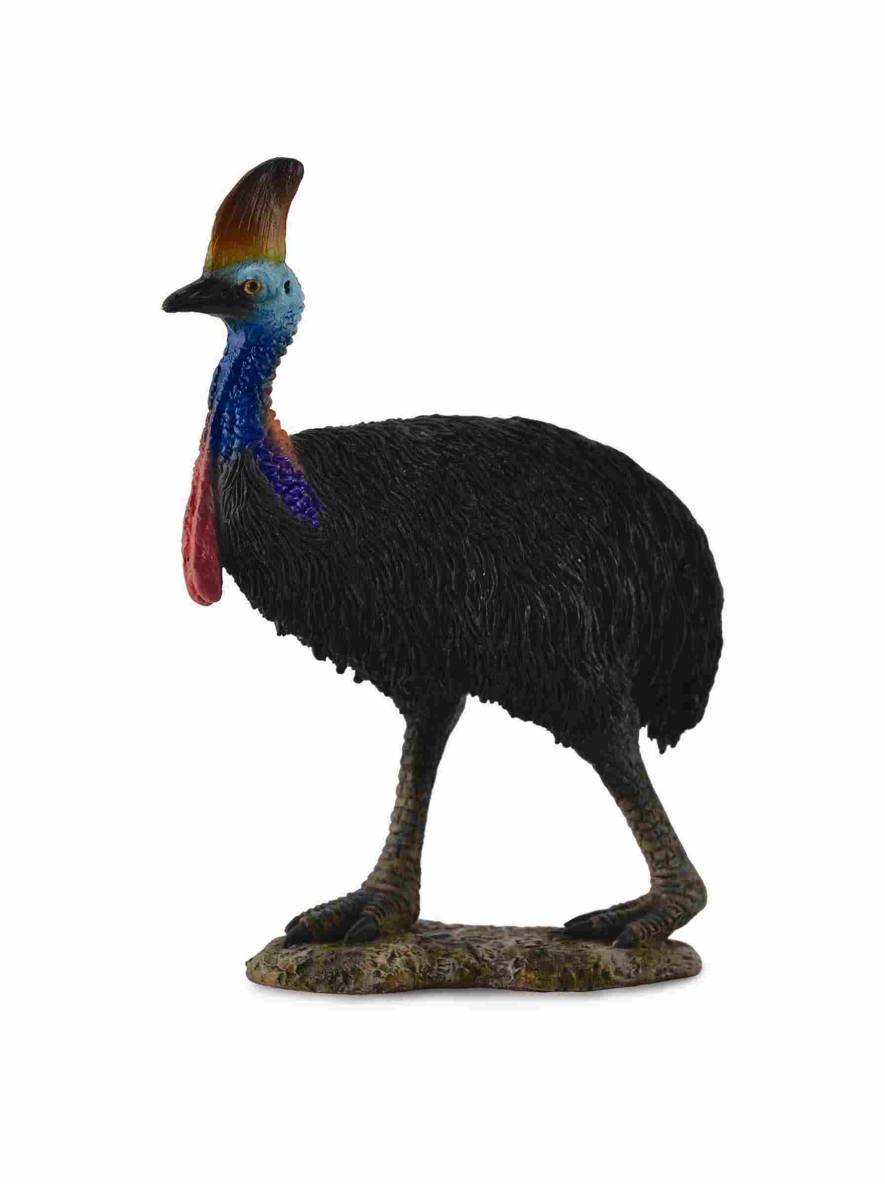 CollectA - 88651 - HELMKASUAR (L)