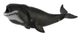CollectA - 88652 - GRÖNLANDWAL (XL)