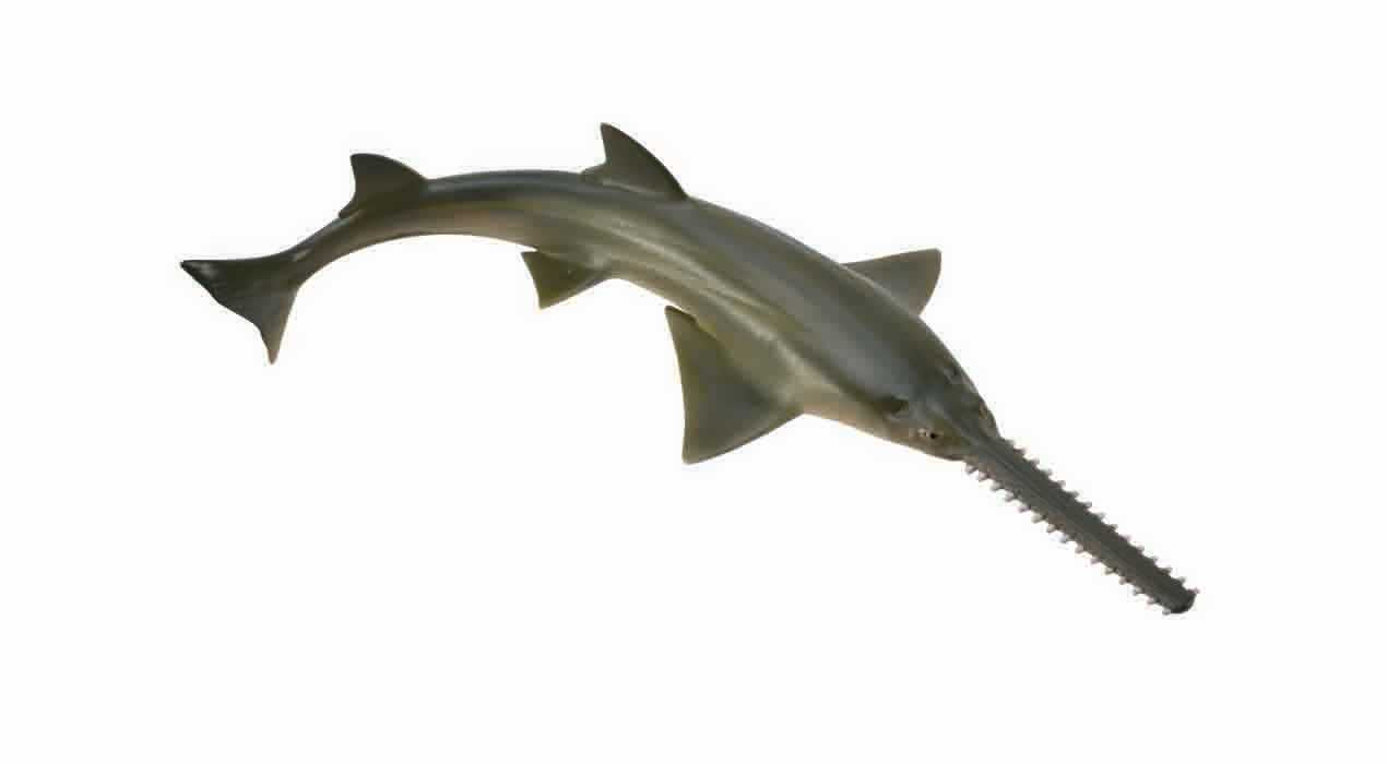CollectA - 88659 - SÄGEFISCH (M)