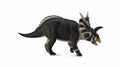 CollectA - 88660 - XENOCERATOPS (L)