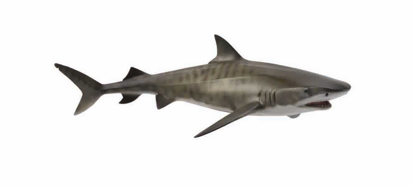 CollectA - 88661 - TIGERHAI (L)