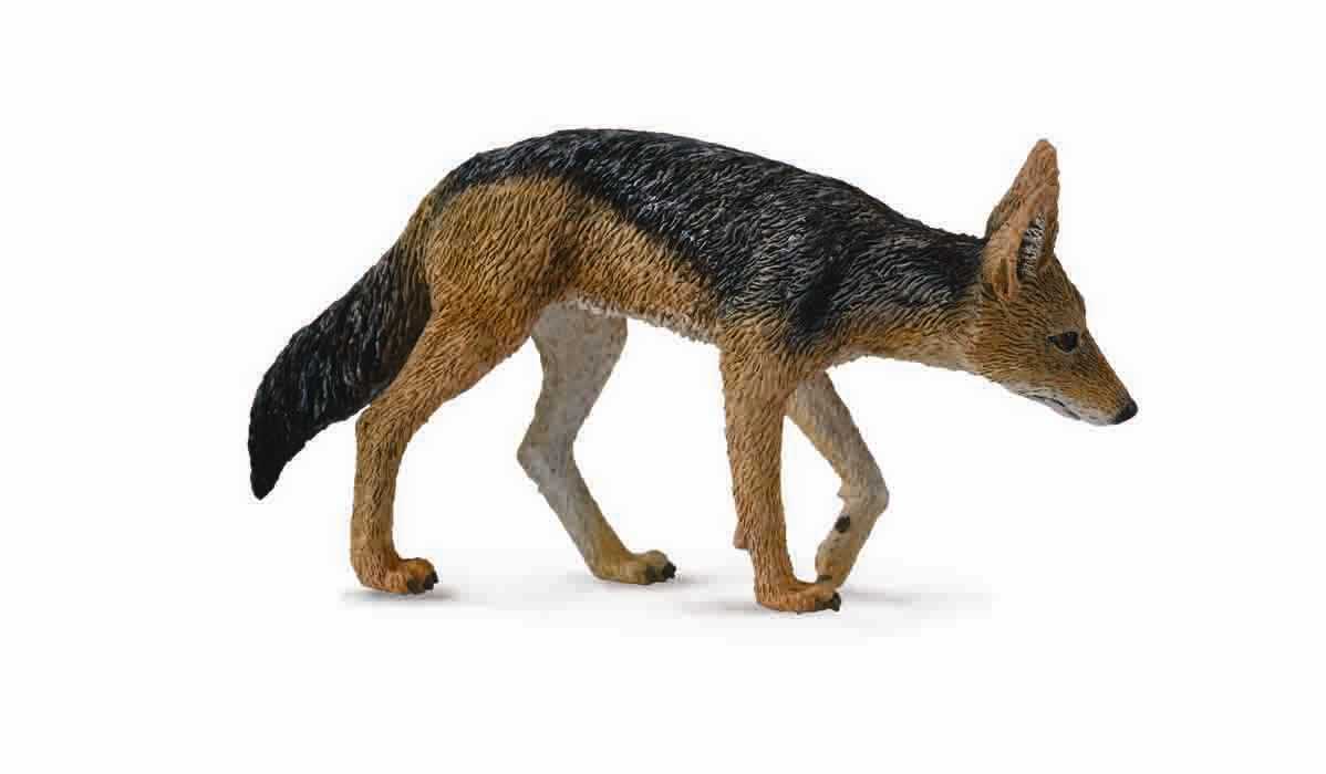 CollectA - 88665 - SCHABRACKENSCHAKAL (M)