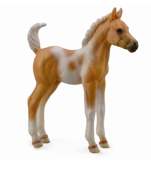 CollectA - 88669 - PINTO FOHLEN PALOMINOFARBEN - STEHEND (M)