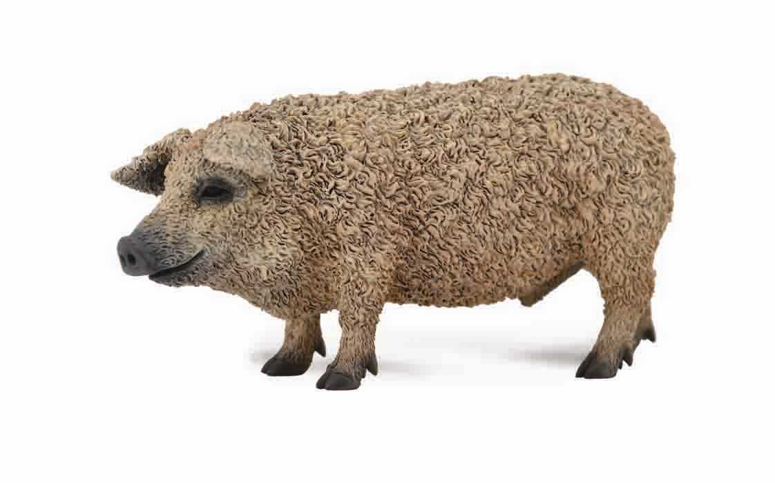 CollectA - 88674 - MANGALICA-SCHWEIN (M)